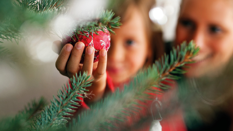 Wissenswertes rund um den Weihnachtsbaum